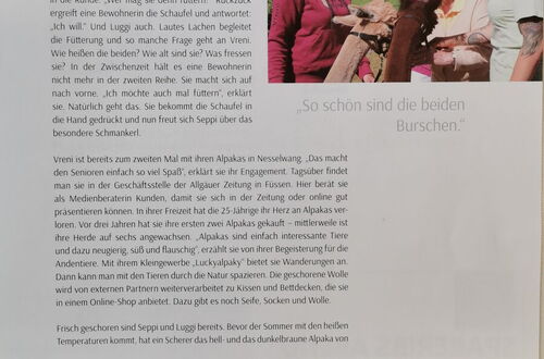 Zwei junge Frauen mit Alpakas in einer grünen Wiese, im Vordergrund sitzen zwei ältere Personen.